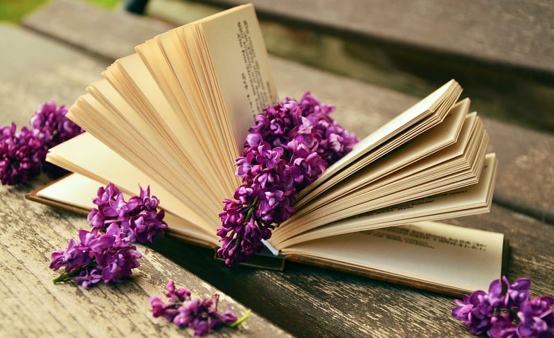 Time Travel Books